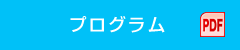 プログラム（PDF）